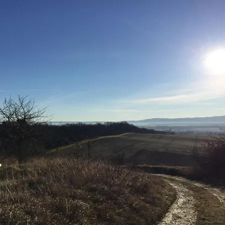 The Old Cobbler House *