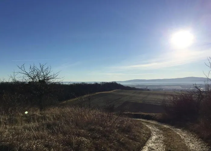 The Old Cobbler House *