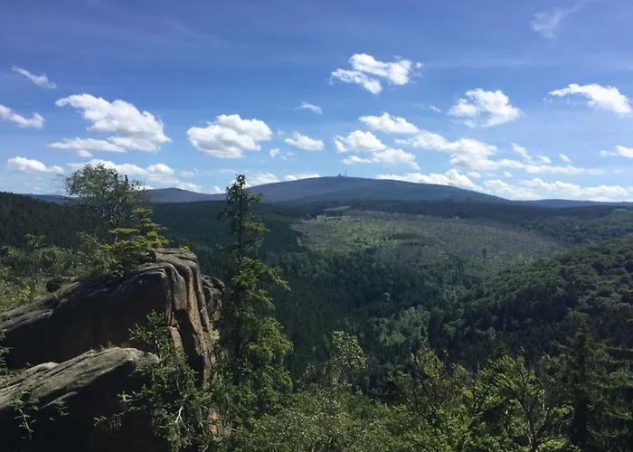 The Old Cobbler House דירה *